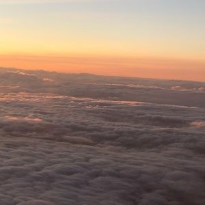 Meet your Posher, Todd